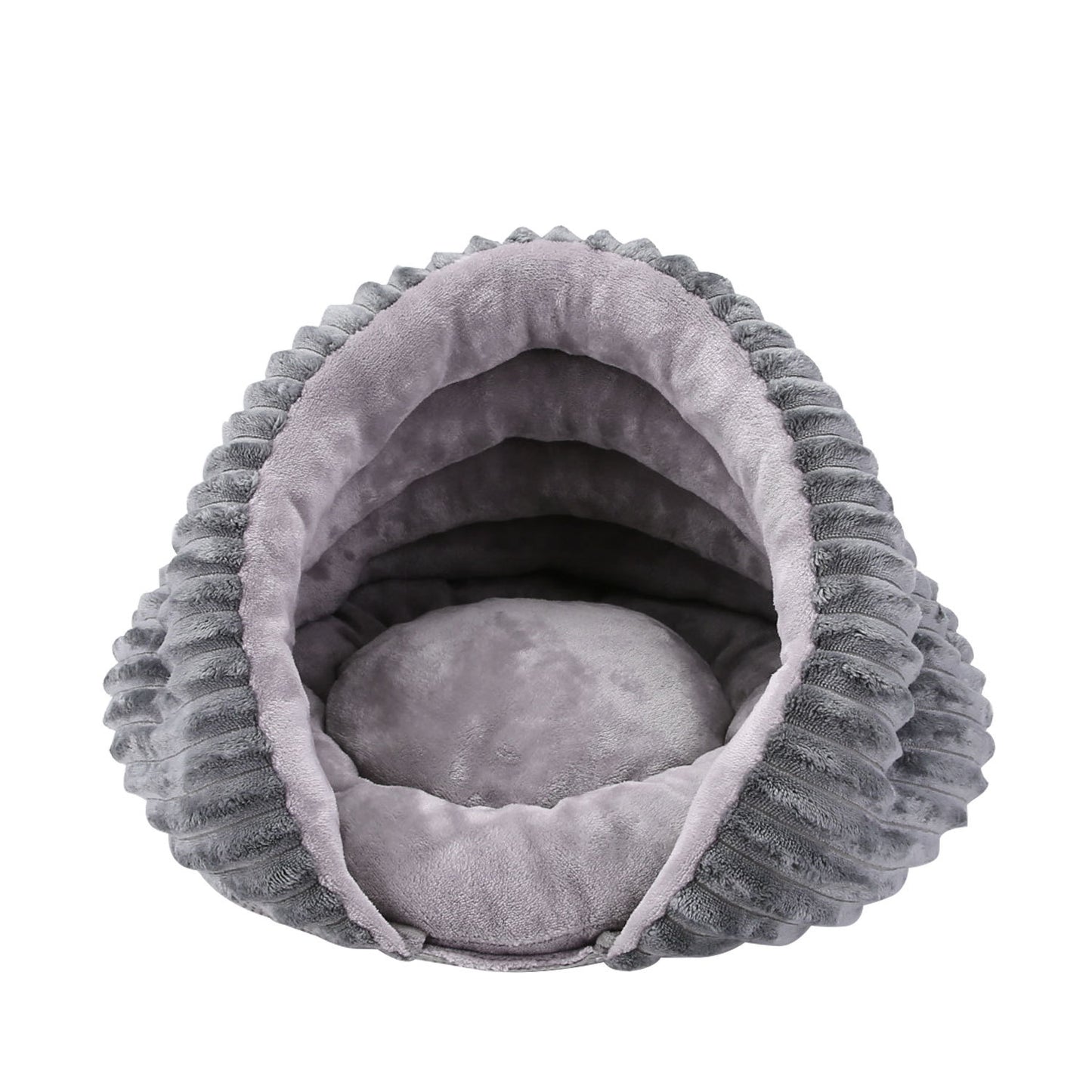 Half Enclosed Conch Cat's Nest
