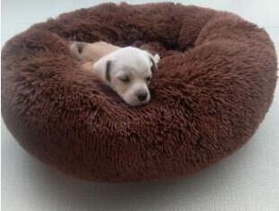 Comfortable Donut Cushion Bed