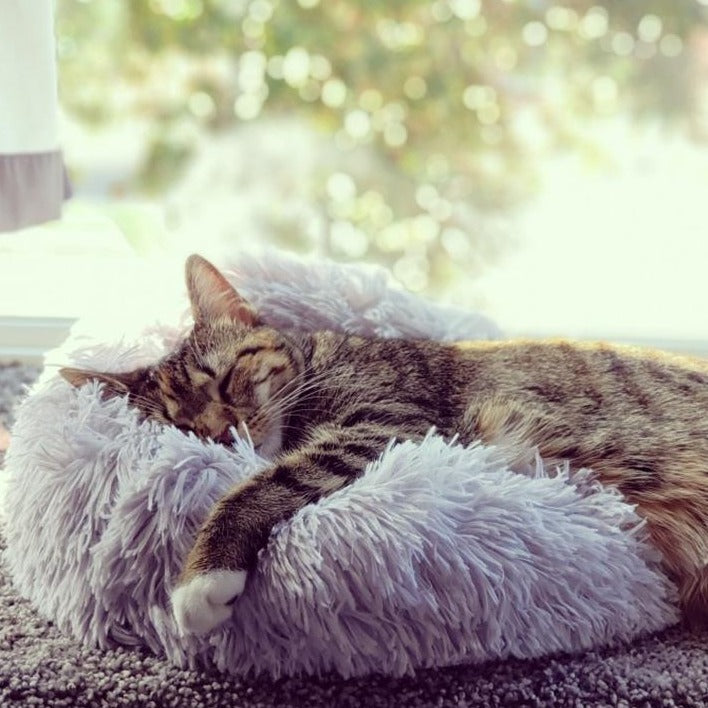 Comfortable Donut Cushion Bed