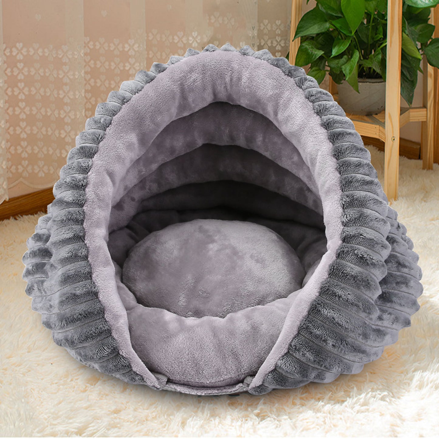 Half Enclosed Conch Cat's Nest
