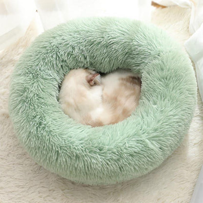 Comfortable Donut Cushion Bed