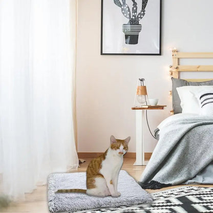 Plush Two-in-one Pet Mat