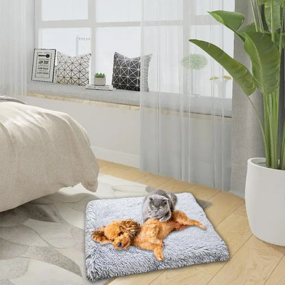 Plush Two-in-one Pet Mat