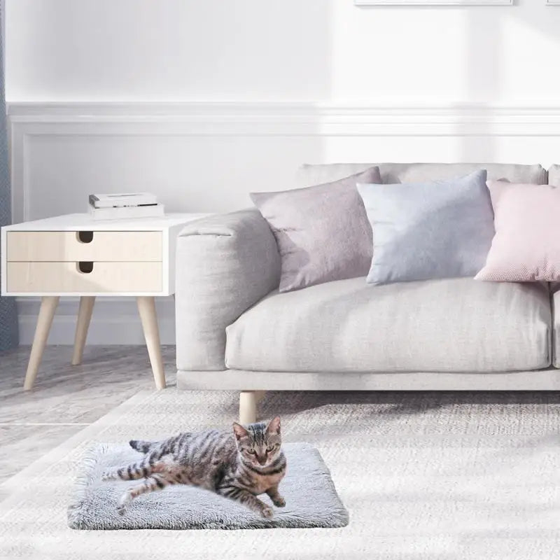 Plush Two-in-one Pet Mat