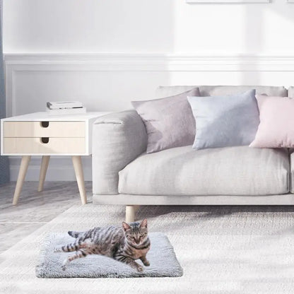 Plush Two-in-one Pet Mat