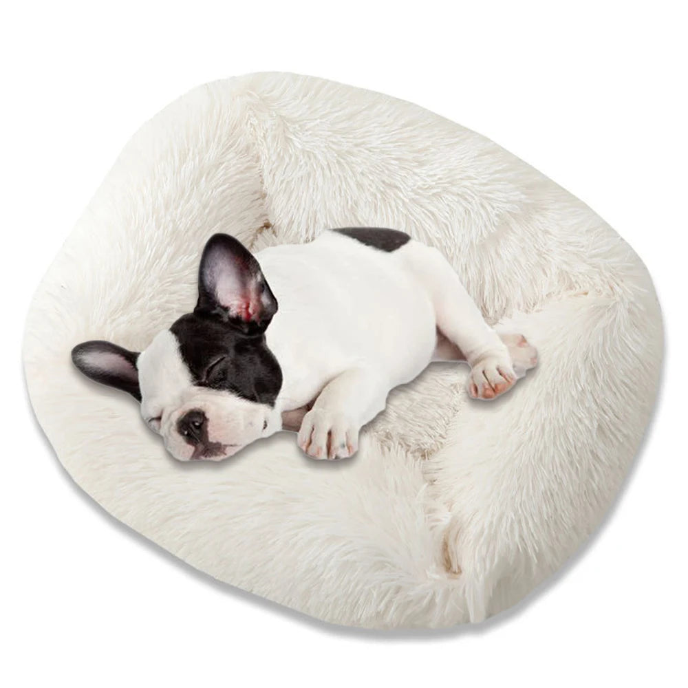 Super Soft Square Dog Bed