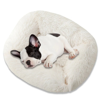 Super Soft Square Dog Bed